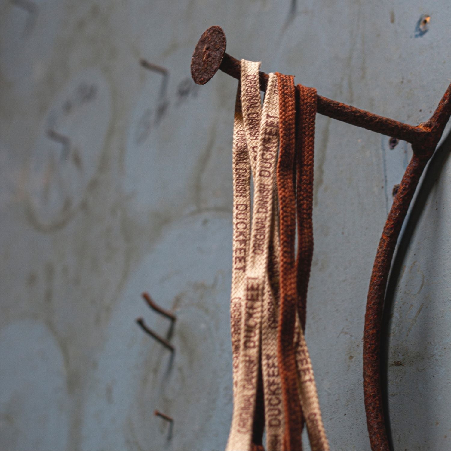 Duckfeet Printed Laces Beige